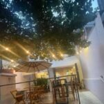 Passo Ponto comercial na Região dos Jardins 2